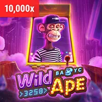 Thu thập thông tin người dùng SP666 Code